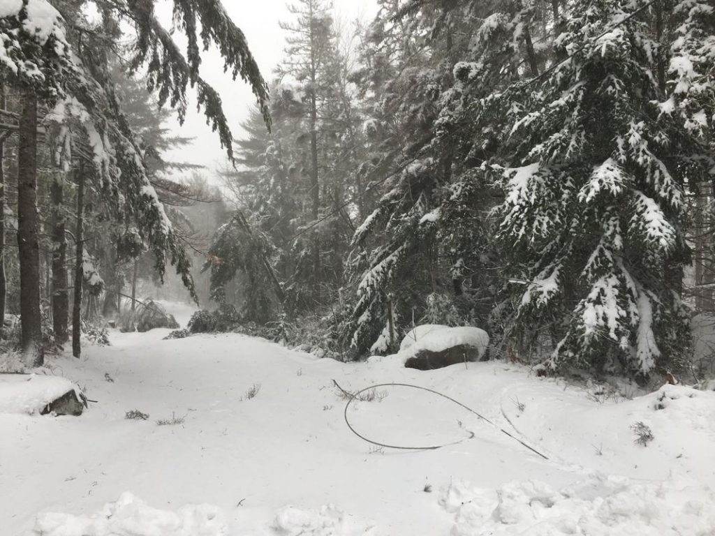 20170213 Power Line down
