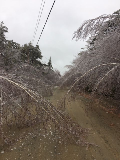 20170328 Icerain